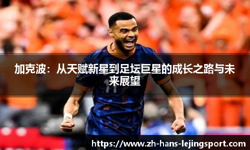 乐竞体育平台网址