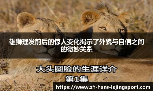 乐竞体育